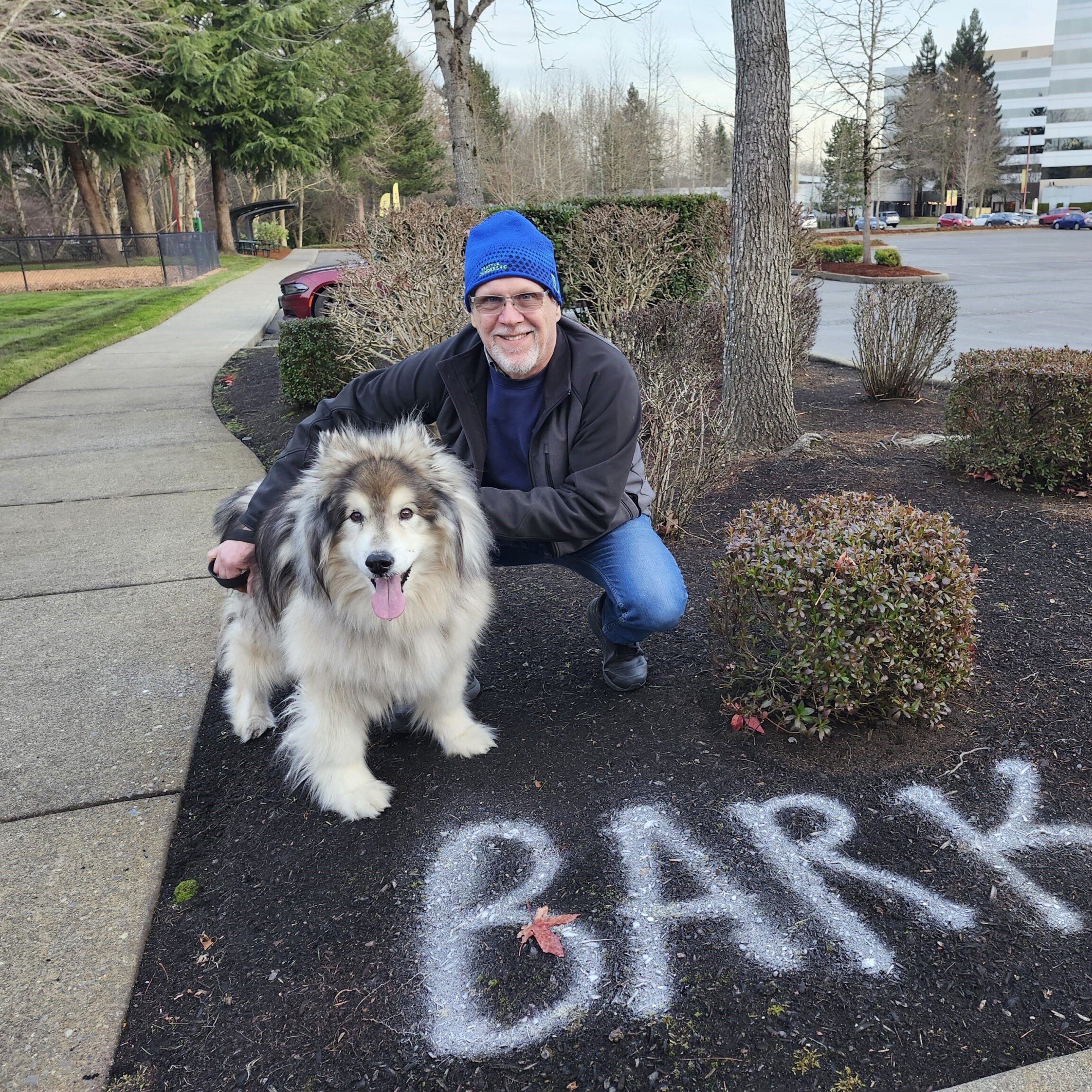 Fluffy Malamute with human in the city