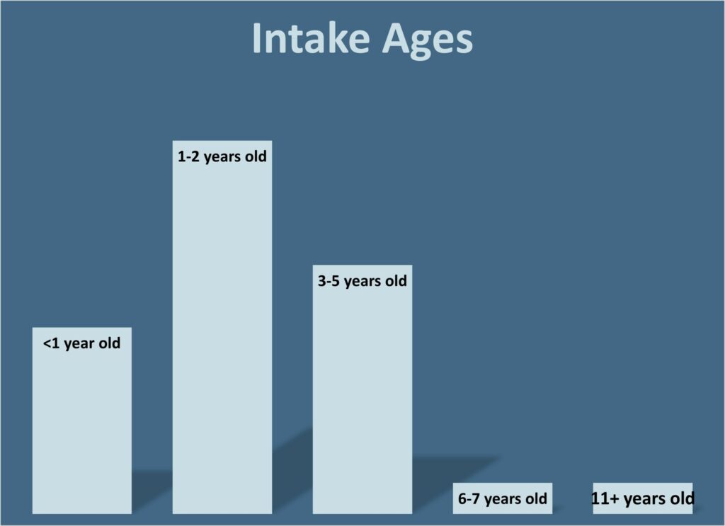 Bar chart of WAMAL 2024 rescued dog intake ages