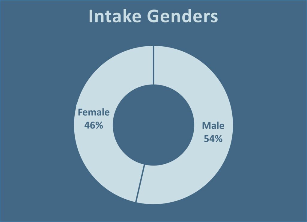 Donut chart of WAMAL 2024 rescued dog intake genders