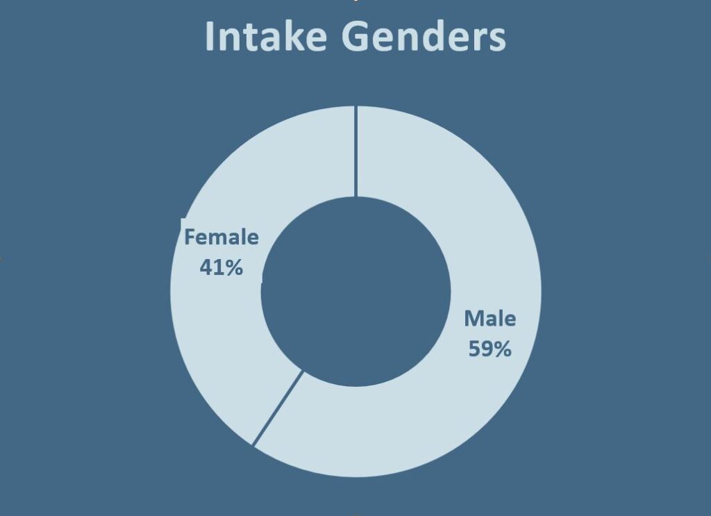 Image showing percentage of incoming genders