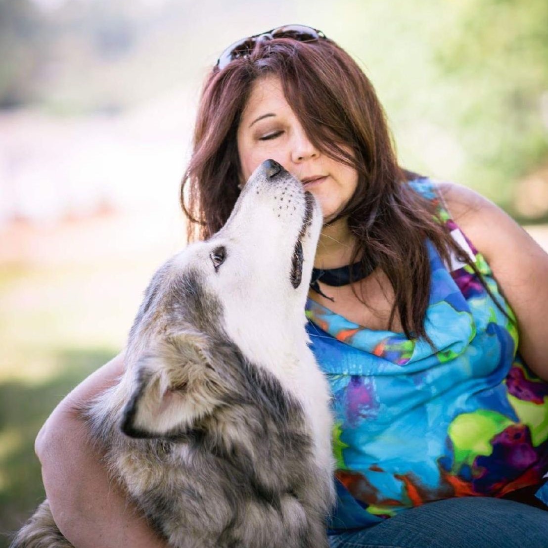 Malamute kissing human