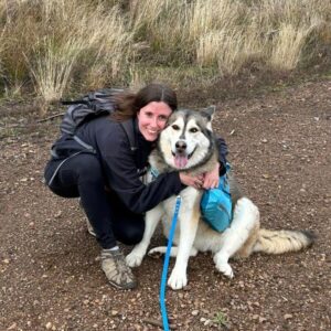 Malamute with human on hike