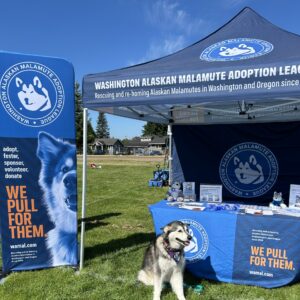 Malamute in front of WAMAL booth