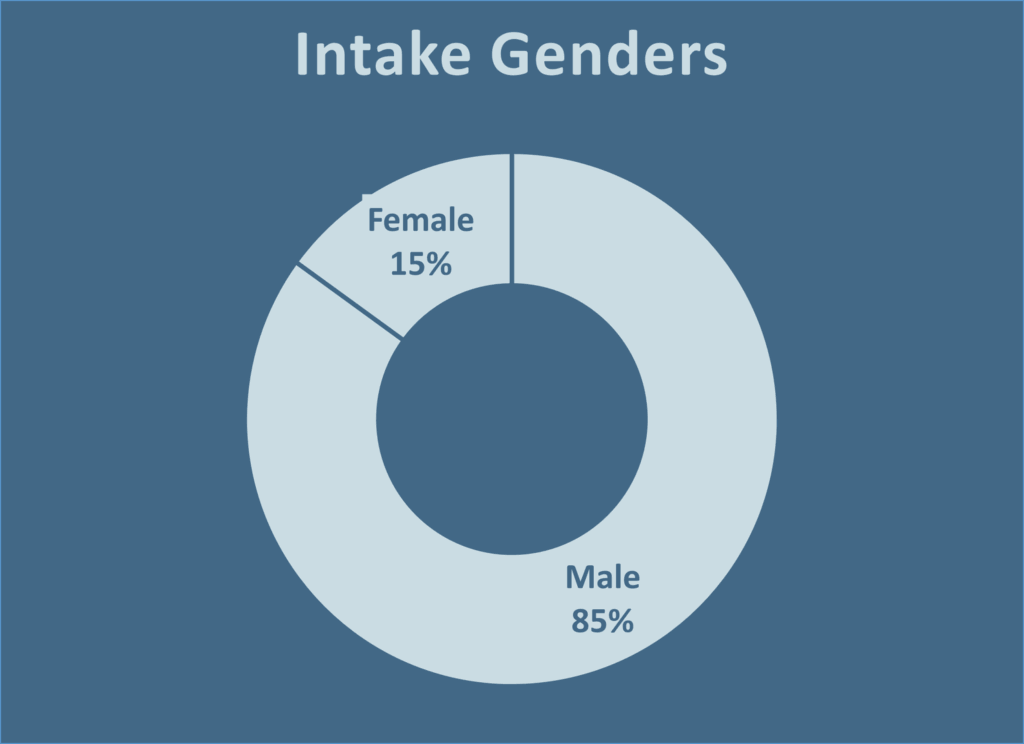 Intake Genders 2025